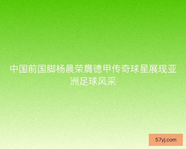 中国前国脚杨晨荣膺德甲传奇球星展现亚洲足球风采