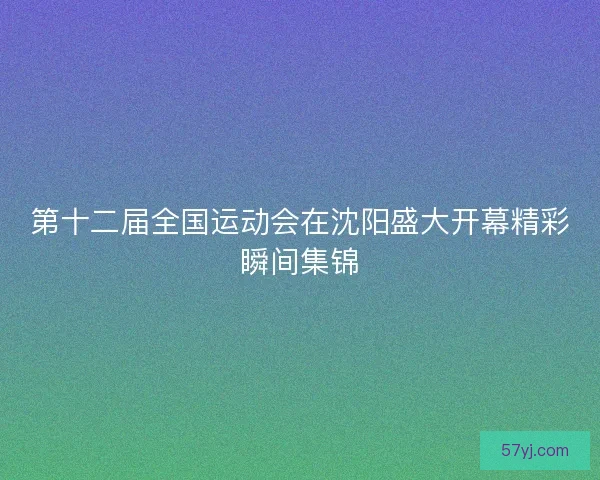 第十二届全国运动会在沈阳盛大开幕精彩瞬间集锦