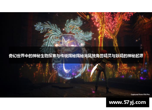 奇幻世界中的神秘生物探索与传说揭秘揭秘龙凤独角兽精灵与妖精的神秘起源