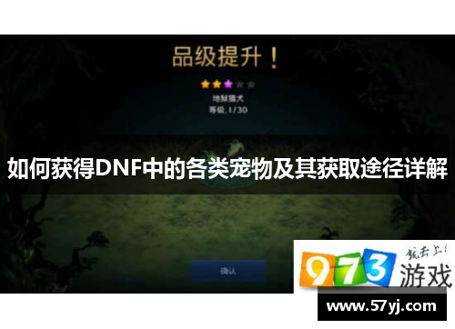 如何获得DNF中的各类宠物及其获取途径详解